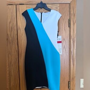Calvin Klein Fitted Dress
